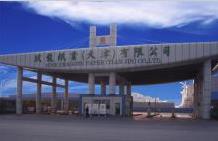 玖龍紙業廠房屋面防水、保溫系統工程