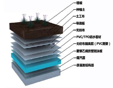 種植屋面